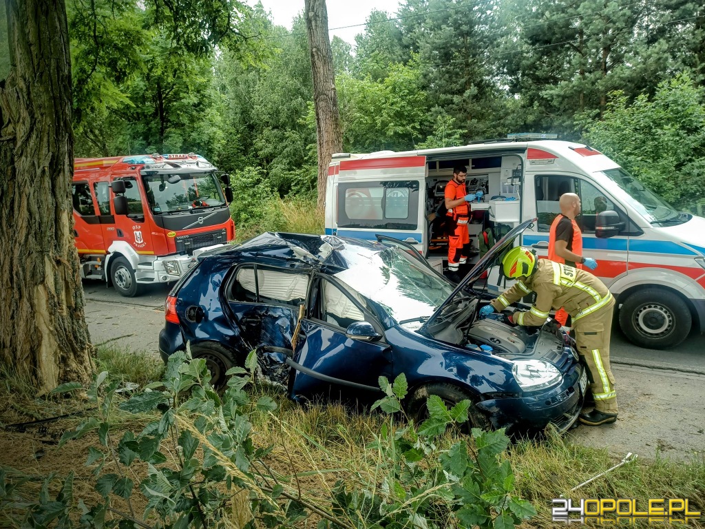 Auto Wypad O Z Drogi I Uderzy O W Drzewo Kierowca Kompletnie Pijany