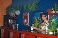 Hawaian Party - cinastycz020.jpg