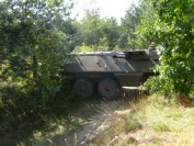 Zlot pojazdów militarnych i terenowych w Winowie - 20070701210612S7001386.jpg