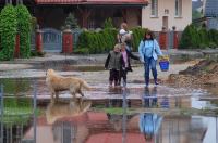 Powódź 2010 - Czarnowąsy, Dobrzeń Wielki, Dobrzeń Mały, Opole - 2800_powodz_opole_2010_018.jpg