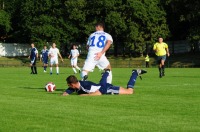 Mecz - Ruch Zdzieszowice : Ruch Chorzów - 3121_foto_opole_272.jpg