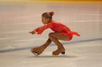 Opolska Łyżwa 2011 - Zawody W Łyżwiarstwie Figurowym  - 3541_foto_opole_0108.jpg