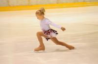 Opolska Łyżwa 2011 - Zawody W Łyżwiarstwie Figurowym  - 3541_foto_opole_0262.jpg