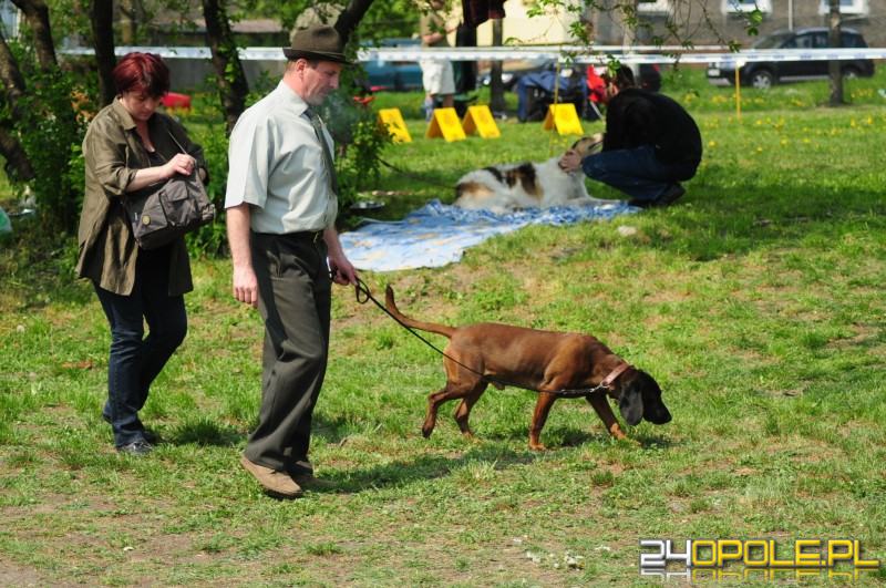 24opole.pl