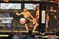 MMA ATTACK 2 - Katowice - Spodek - 4355_resDSC_0858.jpg