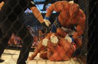 MMA ATTACK 2 - Katowice - Spodek - 4355_resDSC_1780.jpg