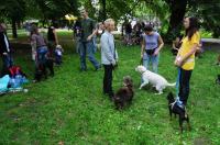 Piknik rodzinny w Parku Nadodrzańskim - 4529_foto_opole_144.jpg