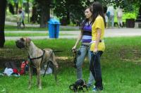 Piknik rodzinny w Parku Nadodrzańskim - 4529_foto_opole_155.jpg