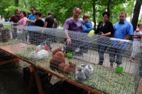 Piknik rodzinny w Parku Nadodrzańskim - 4529_foto_opole_166.jpg