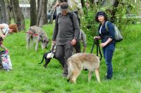 XXXII Międzynarodowa Wystawa Psów Rasowych Opole 2013  - 5100_foto_opole_020.jpg