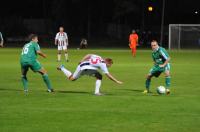 PP: Odra Opole 0:4 Miedź Legnica - 5250_foto_opole_257.jpg