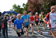 5. Maraton Opolski - 6610_res_dsc_4998.jpg