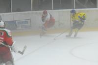 Orlik Opole 6:1 HK Zagłębie Sosnowiec - 6862_foto_24opole0207.jpg