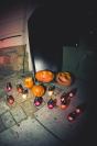 Aqarium NYSA - Halloween - 6950__mg_4915.jpg