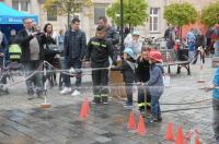 Dni Opola 2016 - Piknik Rodzinny na Opolskim Rynku - 7281_foto_opole_026.jpg