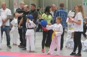 Taekwondo Polish Open Cup 2016 Opole