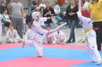 Taekwondo Polish Open Cup 2016 Opole - 7513_foto_24opole_105.jpg