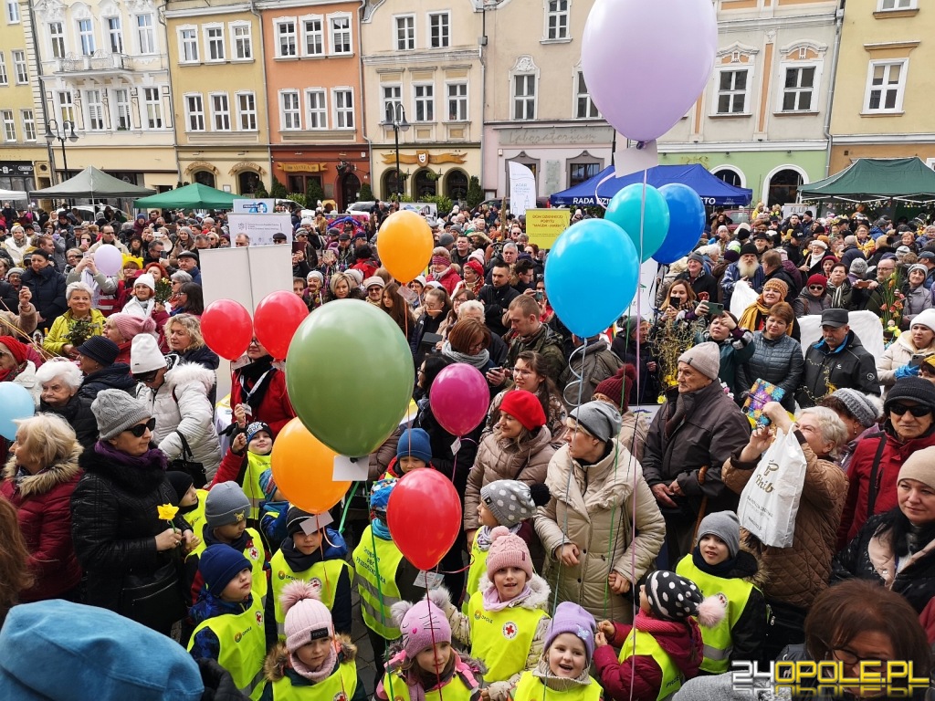 24opole.pl