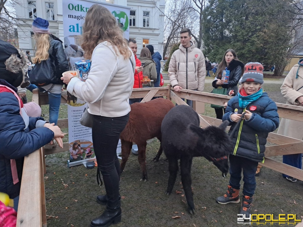 24opole.pl