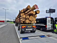 Kolejny przeładowany zespół pojazdów przewożący drewno tymczasowo wycofany z ruchu