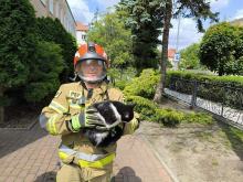Strażacy pomogli kotu uwięzionemu na dachu 