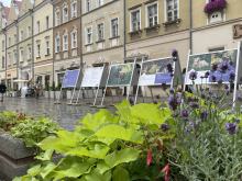 Wyjątkowa wystawa na Opolskim Rynku