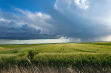 Ostrzeżenie meteorologiczne: Burzowa niedziela