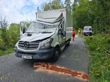 Drzewo spadło na busa, zmiażdżona kabina kierowcy