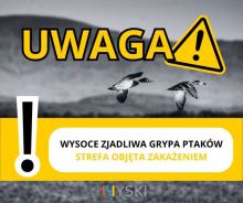 W powiecie nyskim stwierdzono przypadek ptasiej grypy - wprowadzono strefę objętą zakażeniem