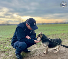 Policjanci swoją akcją znaleźli dom dla psich sierot