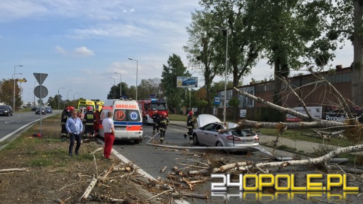 Drzewo spadło na jadący samochód i karetkę pogotowia