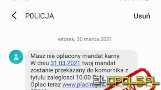 Nowe sposoby wyłudzenia oszczędności na "mandat karny". Uważajmy i nie dajmy się oszukać