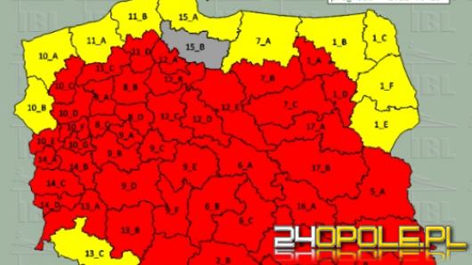 Lasy w całej Polsce z największym stopniem zagrożenia pożarowego!