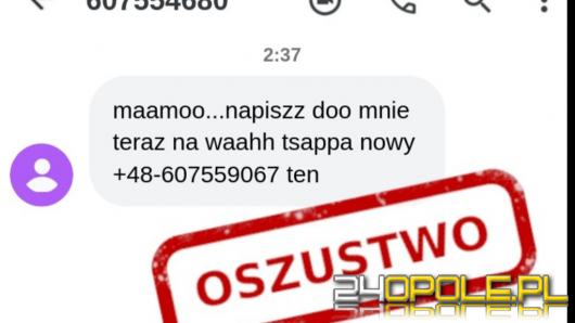 Dostałeś fałszywego sms? Zgłoś to CERT Polska