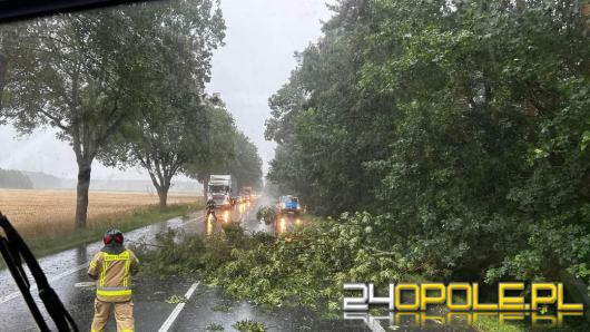 Burze w województwie opolskim: 27 interwencji straży pożarnej