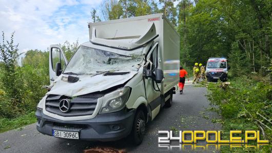 Drzewo spadło na busa, zmiażdżona kabina kierowcy