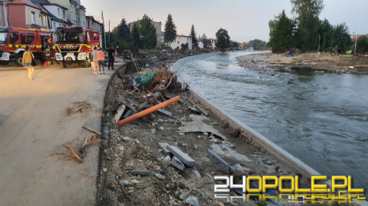 Czesi potwierdzają: Odnaleziona w Bodzanowie kobieta to obywatelka Czech