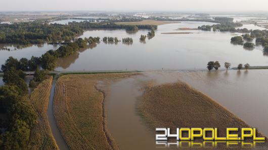 Uwaga! Tylko do 15 listopada masz czas na złożenie wniosku o pomoc