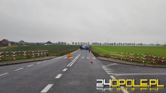 Potrącił mężczyznę, ten zmarł na miejscu. Tragiczny wypadek w Strzelcach Opolskich