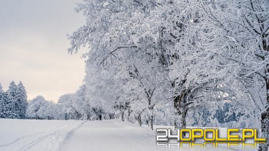 Czy czeka nas śnieżna i mroźna zima?