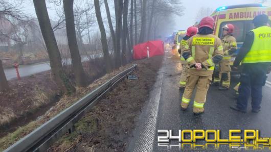 Policja poszukuje świadków śmiertelnego wypadku