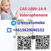 CAS 1009-14-9 Valerophenone from China Manufacturer