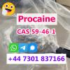 Bulk Procaine Base Powder CAS 59-46-1 Supplier