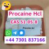 Buy Procaine Hcl CAS 51-05-8 for Your Project