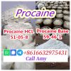 CAS 59-46-1 Procaine Base buy online