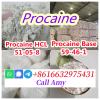 CAS 59-46-1 Procaine Base From Professional Supplier