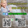 Buy CAS 593-51-1 Methylamine hydrochloride