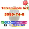 cas 5086-74-8 Tetramisole hcl Safe Delivery Factory Price
