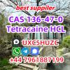 Tetracaine Hydrochloride Cas 136-47-0 Pharmaceutical Chemicals products