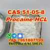 Procaine Hcl,51-05-8,Procaine Hydrochloride,Procaina Hcl Powder